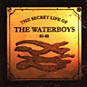 The Secret Life Of The Waterboys 1981-1985 (1994)